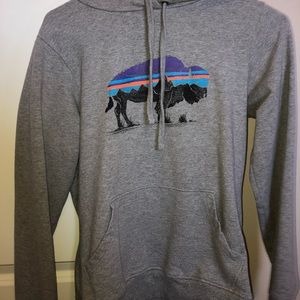 Gray Patagonia sweatshirt